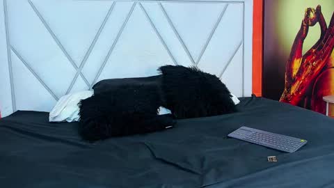 Snapshot of mia_kleim chatting on March 8, 5:41 pm MIA KLEIM online show from March 8, 5:41 pm