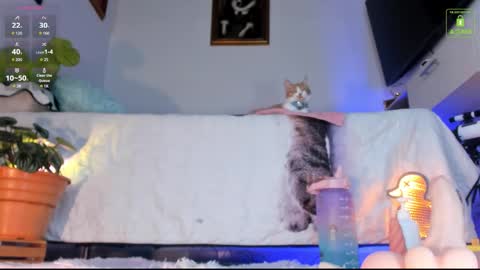 Mia  online show from October 28, 4:07 am