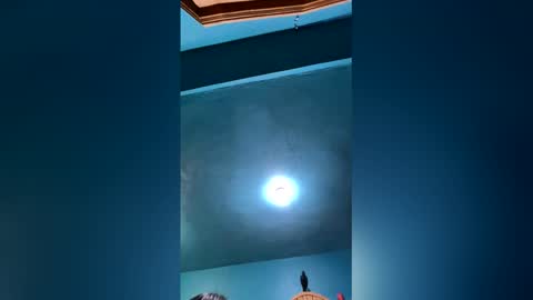 Marilynne online show from January 11, 4:06 am