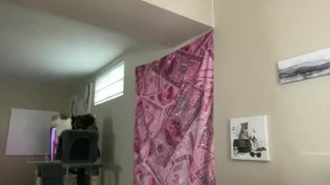 Miss. CogacWoods online show from November 17, 6:30 pm