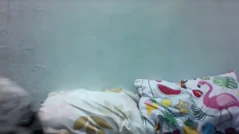 Merry online show from December 8, 3:56 pm