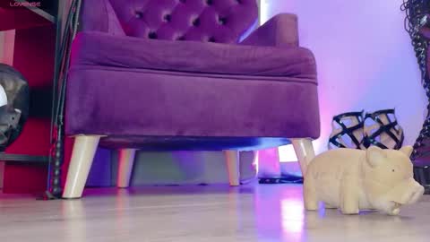 Jhadee online show from March 7, 11:01 pm