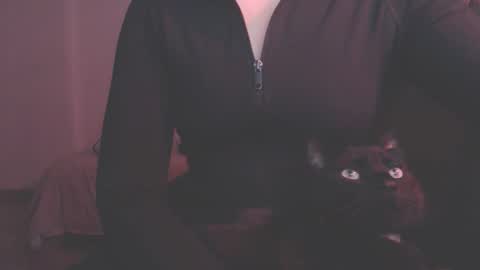 Snapshot of modjo_ chatting on December 19, 10:53 pm Modjo online show from December 19, 10:53 pm