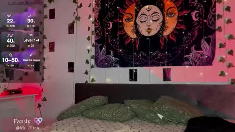 Dita online show from December 19, 2:38 am