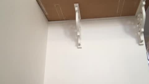 Tara Jane online show from February 12, 2:08 pm