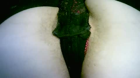 my_tightholes online show from June 3, 6:13 pm