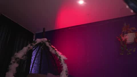 Nefertari online show from November 10, 11:38 am