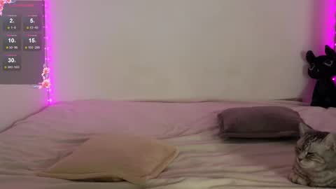 Nessa online show from February 4, 6:44 pm