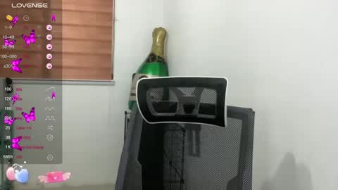 NIC 333 online show from January 6, 10:24 am