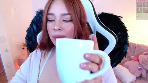 Nicol online show from February 5, 12:53 am