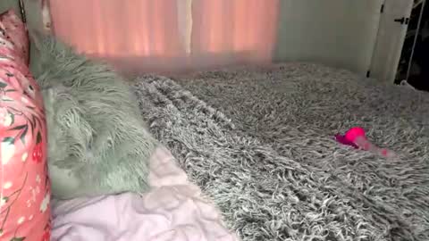 nikitalove104 online show from June 17, 10:44 pm