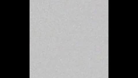 Nikki Ramone   online show from January 19, 11:17 am