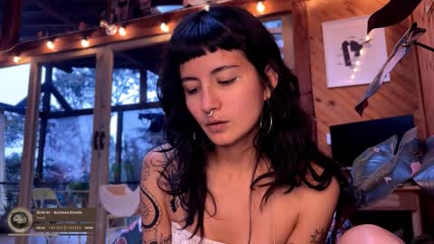 Nina.  online show from February 22, 9:26 pm