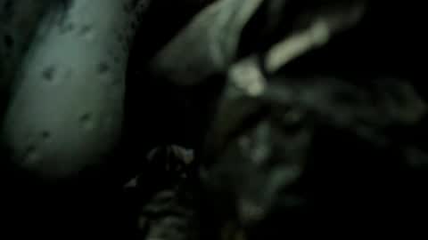 palechor online show from April 16, 7:02 pm