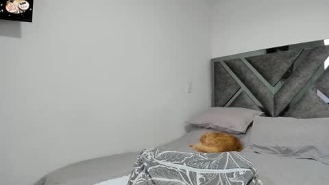 Paulina online show from November 29, 9:19 pm