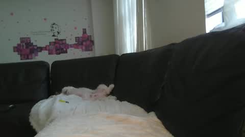 Snapshot of paybarbi chatting on October 3, 5:18 pm paybarbi online show from October 3, 5:18 pm