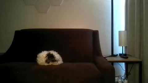 paybarbi online show from March 28, 8:52 pm