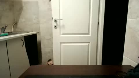 Moonie online show from December 22, 10:13 pm