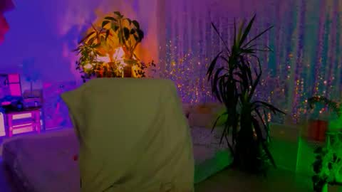 Martha online show from November 19, 8:42 pm