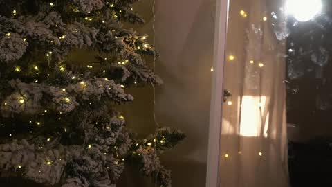    online show from December 26, 9:04 pm