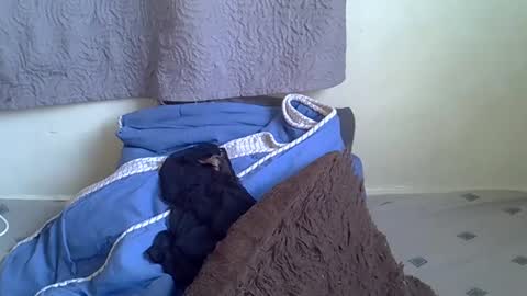 prettybooty1 online show from March 4, 1:17 pm