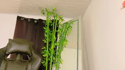 Denis online show from November 29, 10:25 pm