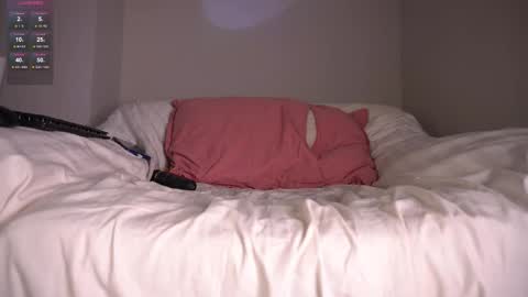 Assi  Incognito girl online show from February 13, 6:30 am