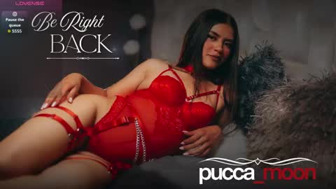 Pucca online show from May 22, 4:10 am