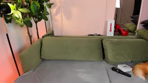 Alison online show from June 3, 1:56 pm