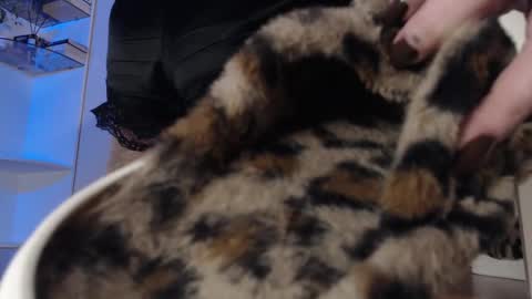 Jules. This is my new account online show from February 14, 3:36 pm