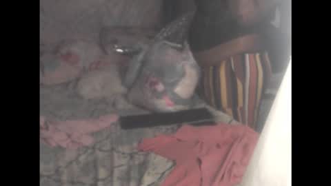 rachelexoticgirl online show from March 2, 5:08 am