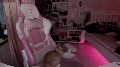 Rapunzel online show from November 5, 1:49 pm