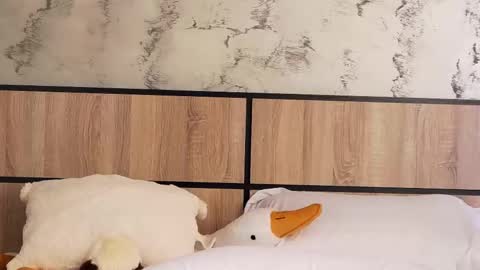 raven_inkk online show from February 23, 8:36 am