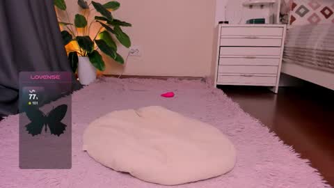 Rein online show from November 28, 2:53 pm