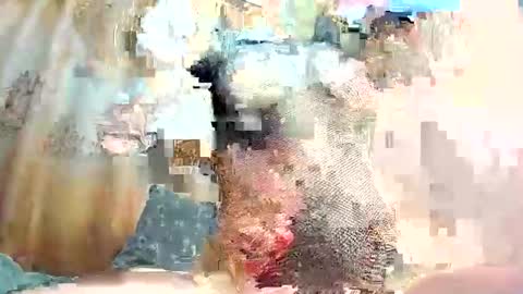 ria_32 online show from May 26, 2:00 am