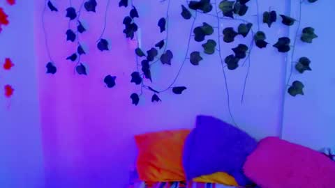 SABRI online show from February 14, 8:26 pm