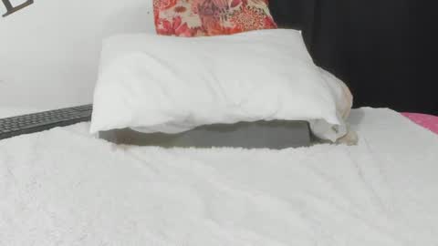  Samanthasmile  online show from June 4, 6:07 am