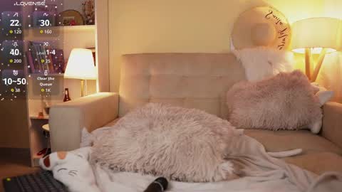 Sara online show from November 8, 12:15 am