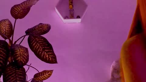 Saray  online show from February 14, 4:14 am