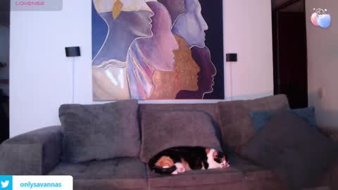 Snapshot of savanna_wallace chatting on March 1, 11:37 pm Savannaredhair 33 Angelebony33 online show from March 1, 11:37 pm