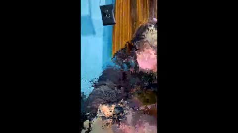 sayuce black online show from January 19, 2:19 am