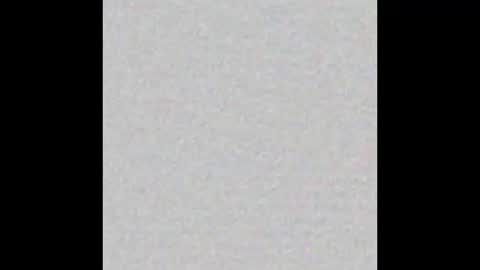 Venus online show from November 2, 2:09 pm