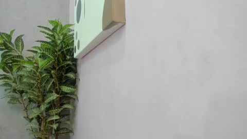 Scarlett 3 online show from December 2, 3:08 am