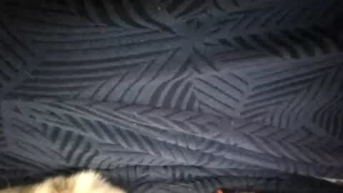 Sunny online show from February 25, 3:38 am