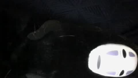 Sunny online show from May 2, 1:31 am