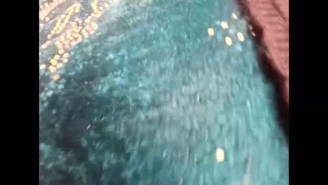 sehajveerr online show from March 3, 2:33 am