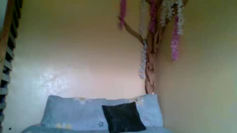 sexxy_daisyy online show from February 11, 9:11 am