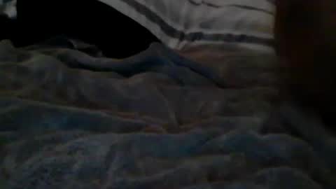 sexyassmixxy online show from March 3, 10:31 am