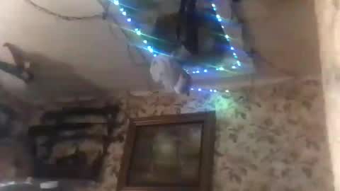 shanelle9270 online show from September 14, 1:47 am