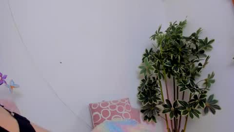 Snapshot of shegoblake chatting on September 24, 9:58 pm Shego online show from September 24, 9:58 pm
